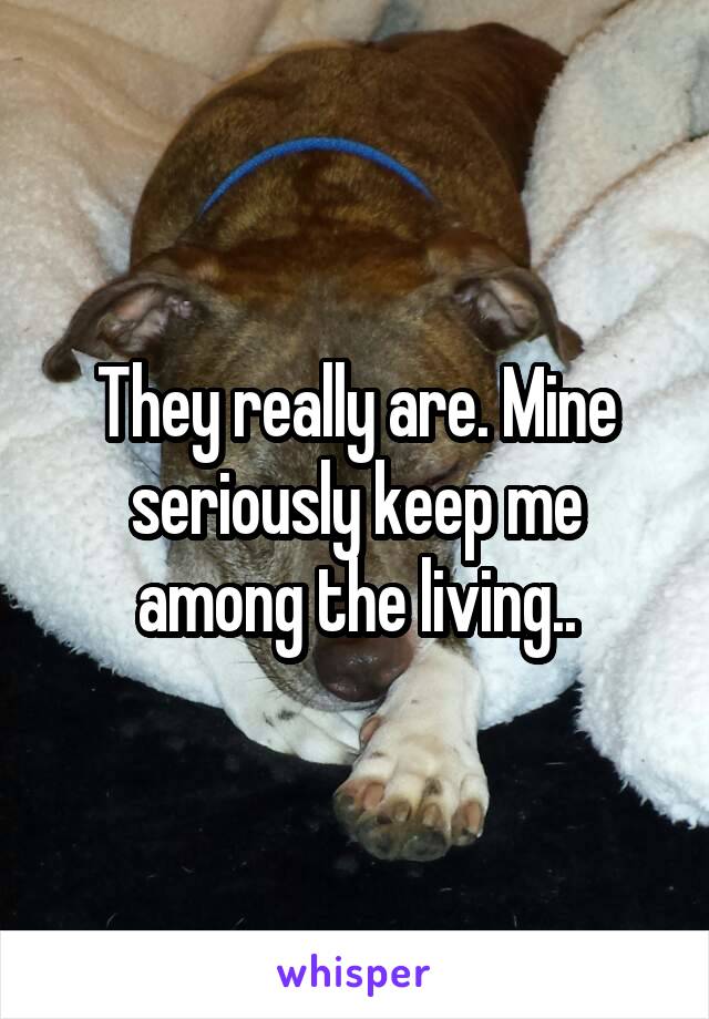 They really are. Mine seriously keep me among the living..