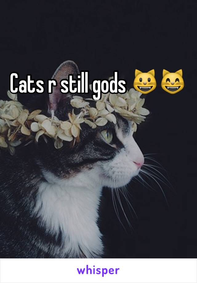 Cats r still gods 😺😸