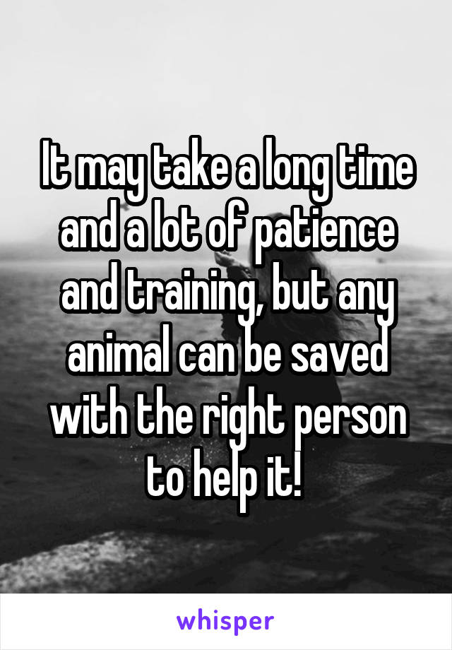 It may take a long time and a lot of patience and training, but any animal can be saved with the right person to help it! 