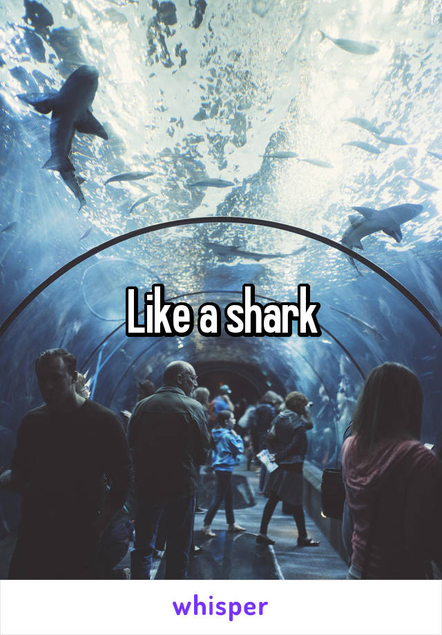 Like a shark