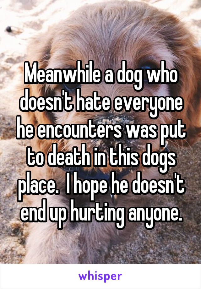 Meanwhile a dog who doesn't hate everyone he encounters was put to death in this dogs place.  I hope he doesn't end up hurting anyone.