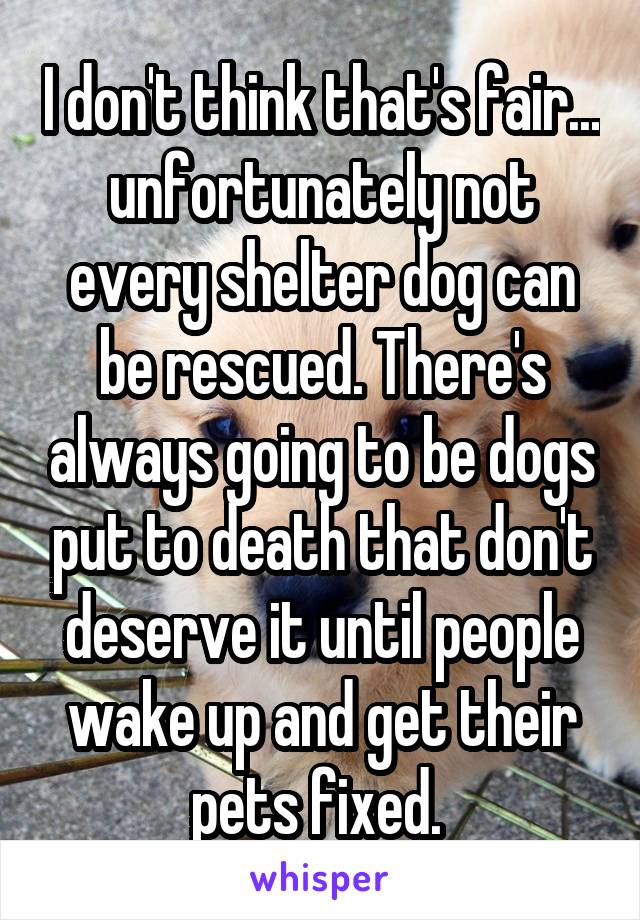 I don't think that's fair... unfortunately not every shelter dog can be rescued. There's always going to be dogs put to death that don't deserve it until people wake up and get their pets fixed. 