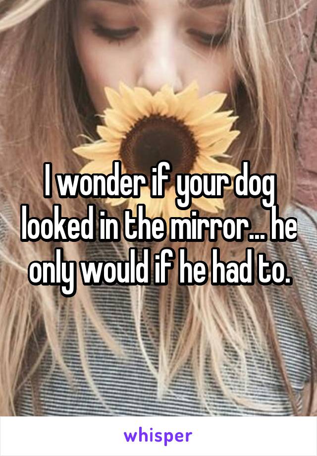 I wonder if your dog looked in the mirror... he only would if he had to.