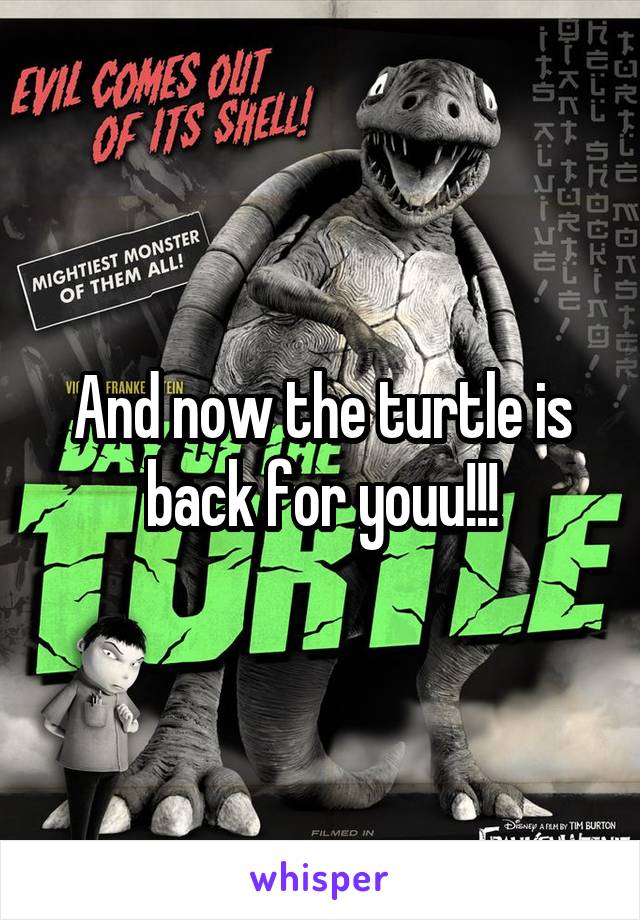 And now the turtle is back for youu!!!
