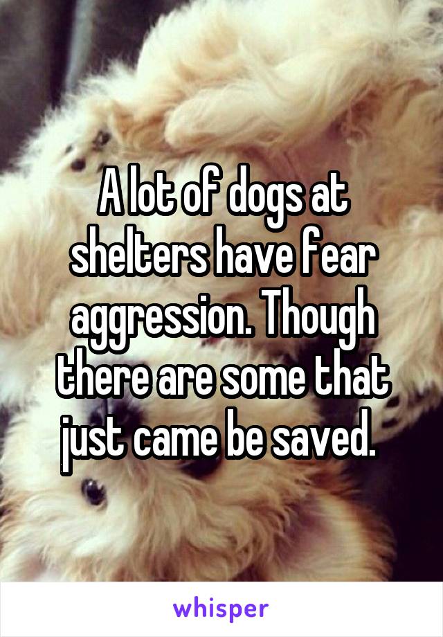 A lot of dogs at shelters have fear aggression. Though there are some that just came be saved. 