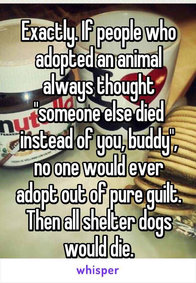 Exactly. If people who adopted an animal always thought "someone else died instead of you, buddy", no one would ever adopt out of pure guilt. Then all shelter dogs would die.