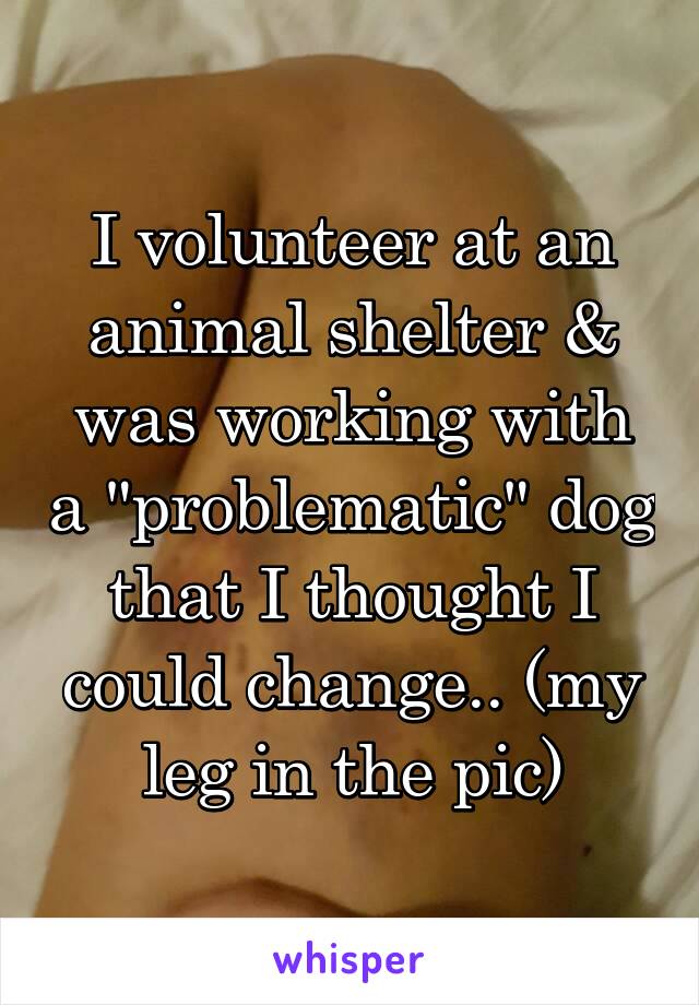 I volunteer at an animal shelter & was working with a "problematic" dog that I thought I could change.. (my leg in the pic)