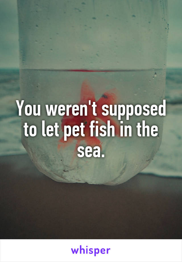 You weren't supposed to let pet fish in the sea.