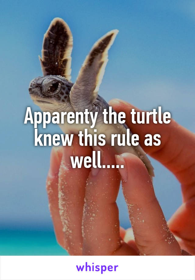 Apparenty the turtle knew this rule as well.....
