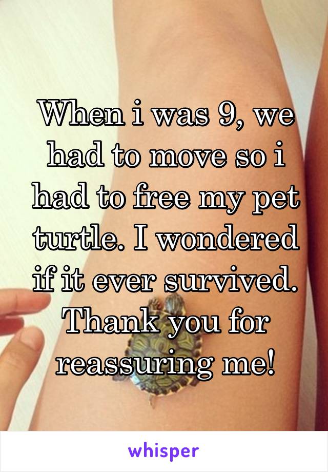 When i was 9, we had to move so i had to free my pet turtle. I wondered if it ever survived. Thank you for reassuring me!