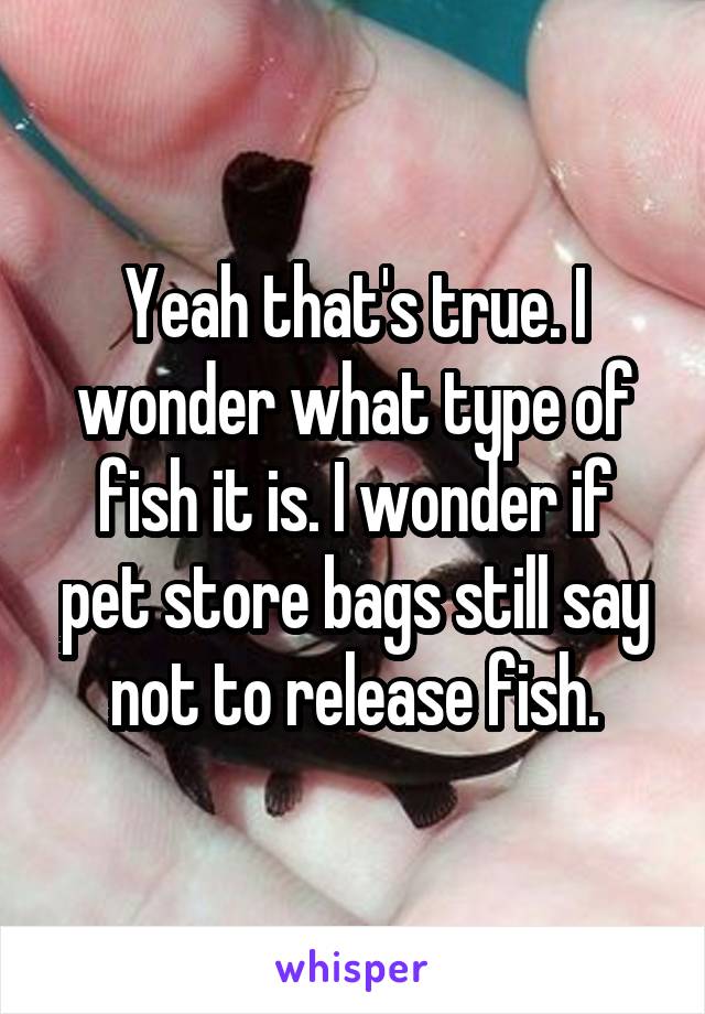 Yeah that's true. I wonder what type of fish it is. I wonder if pet store bags still say not to release fish.