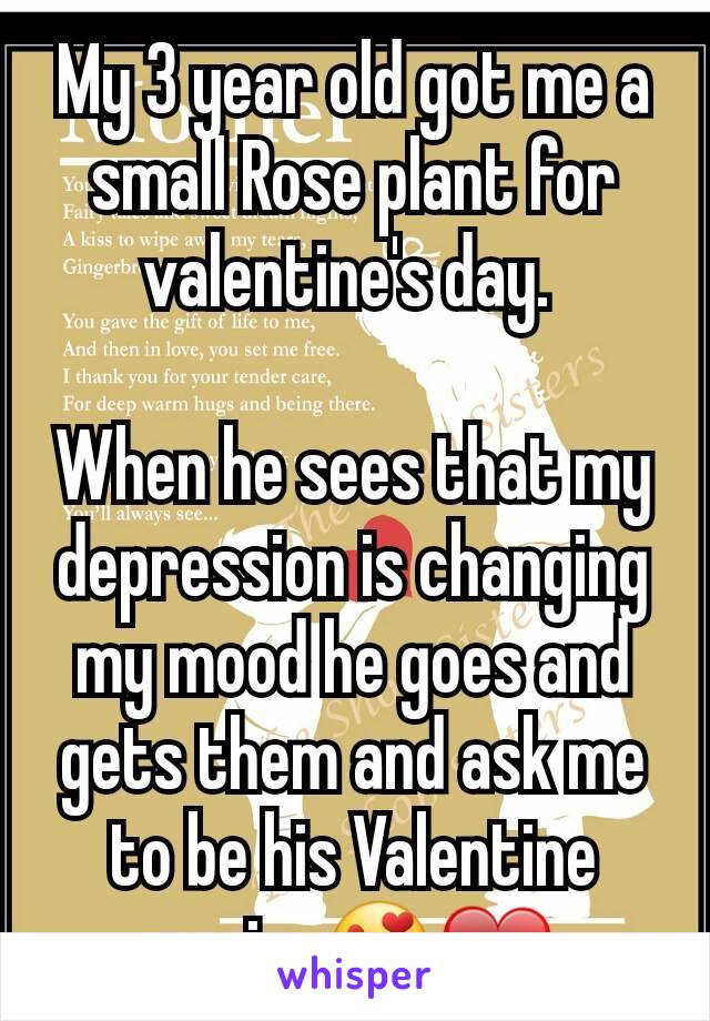 My 3 year old got me a small Rose plant for valentine's day. 

When he sees that my depression is changing my mood he goes and gets them and ask me to be his Valentine again. 😍❤