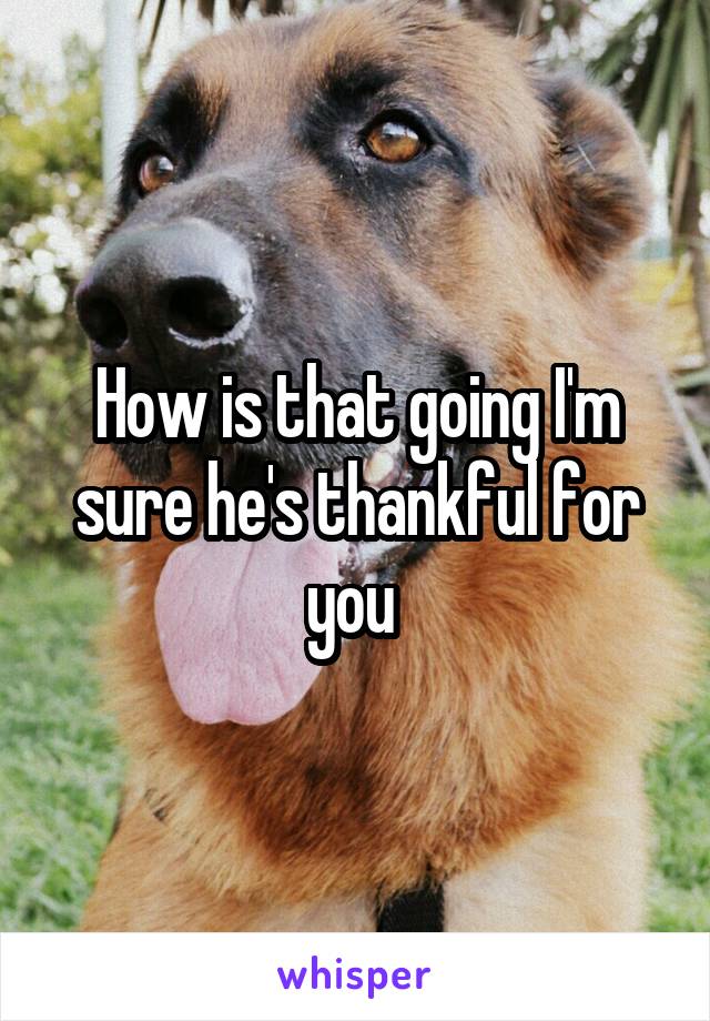 How is that going I'm sure he's thankful for you 