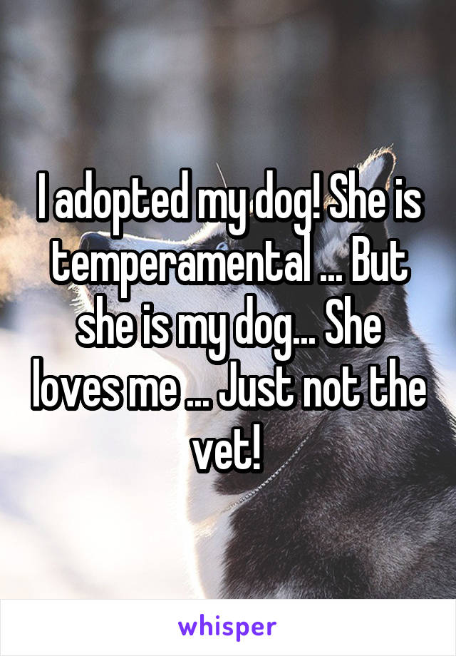I adopted my dog! She is temperamental ... But she is my dog... She loves me ... Just not the vet! 