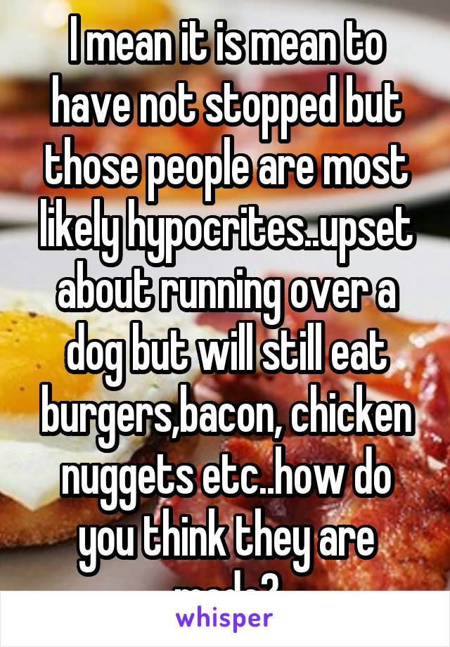 I mean it is mean to have not stopped but those people are most likely hypocrites..upset about running over a dog but will still eat burgers,bacon, chicken nuggets etc..how do you think they are made?