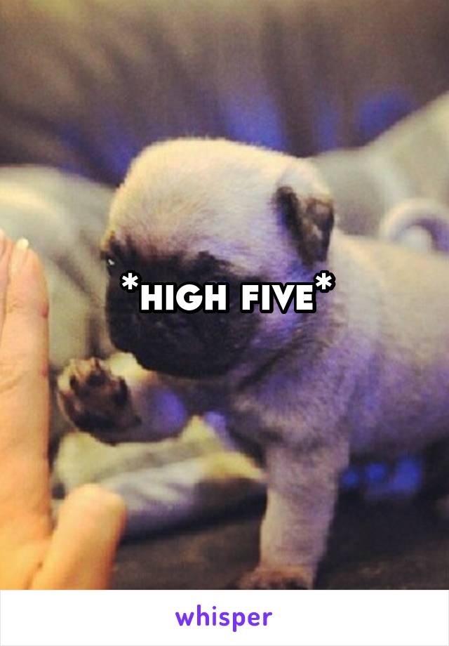 *high five*
