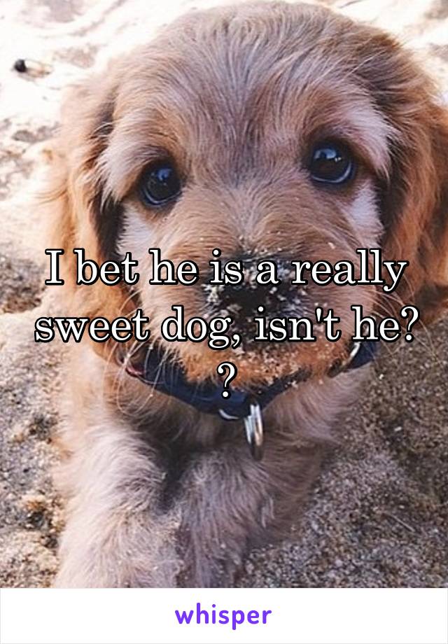 I bet he is a really sweet dog, isn't he? 🐶