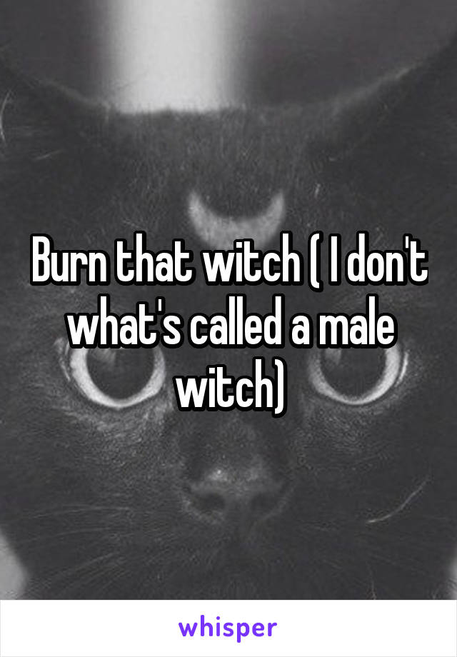 Burn that witch ( I don't what's called a male witch)
