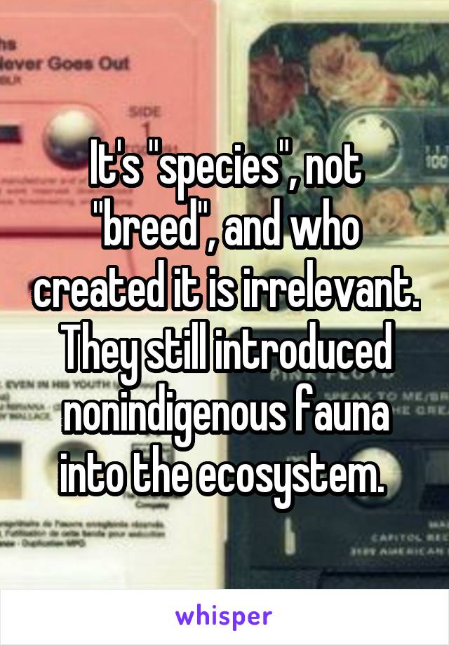 It's "species", not "breed", and who created it is irrelevant. They still introduced nonindigenous fauna into the ecosystem. 