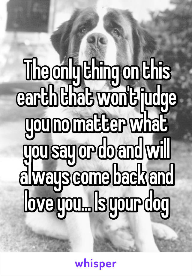 The only thing on this earth that won't judge you no matter what you say or do and will always come back and love you... Is your dog