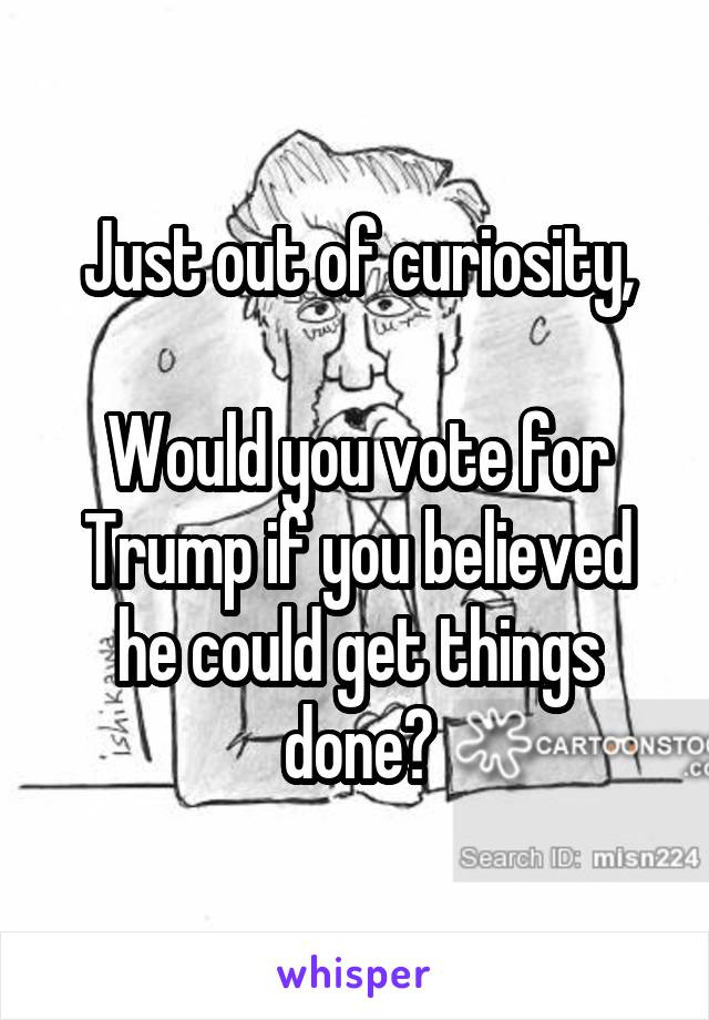 Just out of curiosity,

Would you vote for Trump if you believed he could get things done?