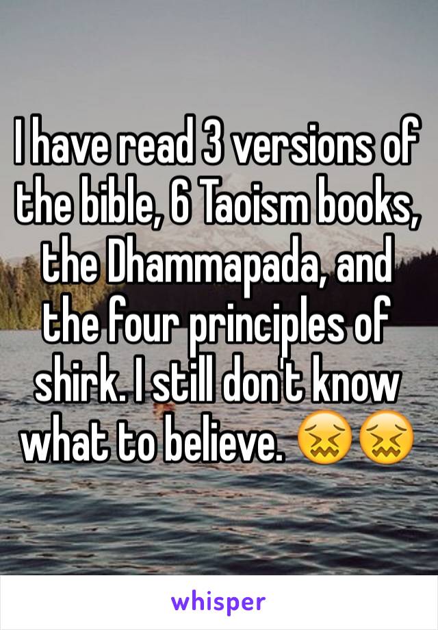 I have read 3 versions of the bible, 6 Taoism books, the Dhammapada, and the four principles of shirk. I still don't know what to believe. 😖😖
