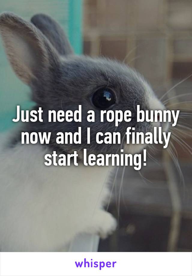 Just need a rope bunny now and I can finally start learning!
