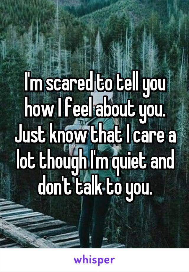 I'm scared to tell you how I feel about you. Just know that I care a lot though I'm quiet and don't talk to you.