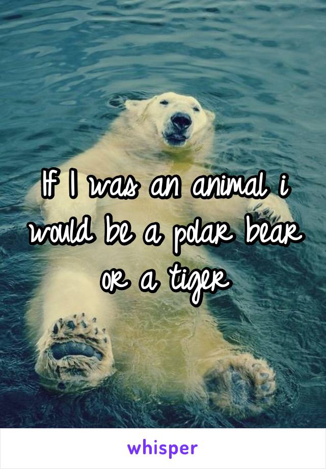 If I was an animal i would be a polar bear or a tiger