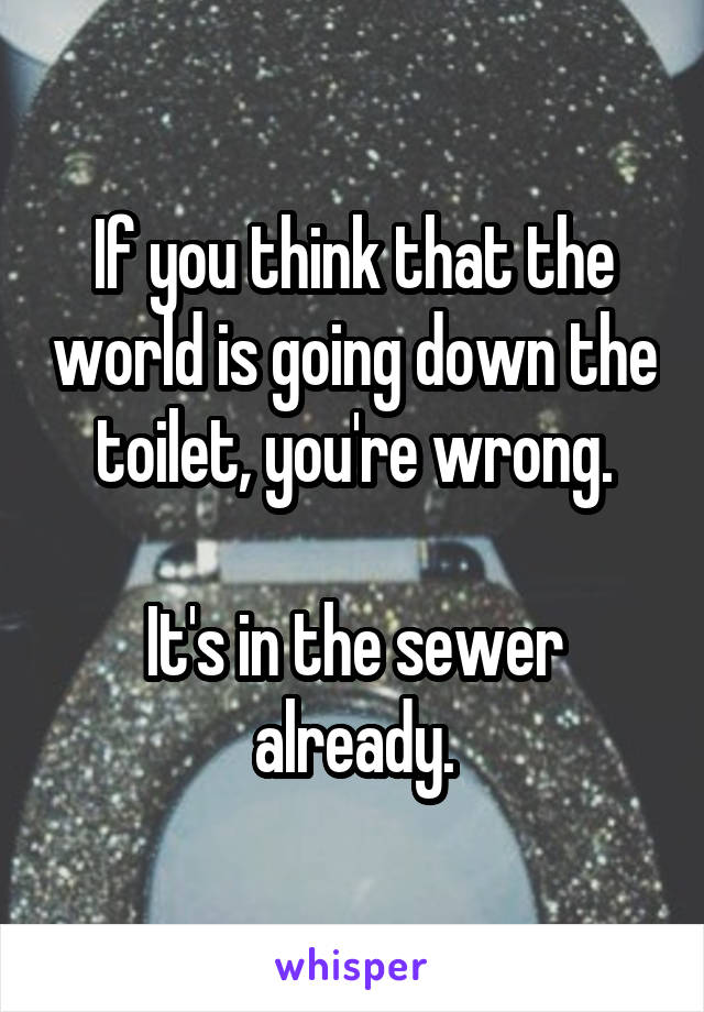 If you think that the world is going down the toilet, you're wrong.

It's in the sewer already.