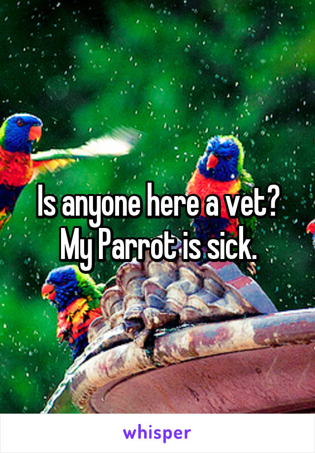 Is anyone here a vet? My Parrot is sick.