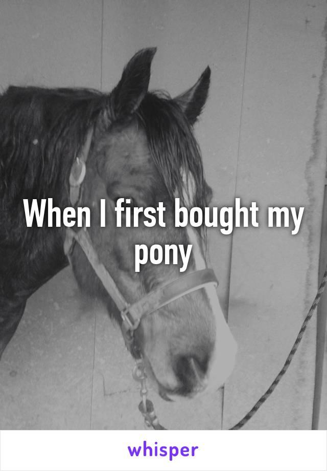 When I first bought my pony