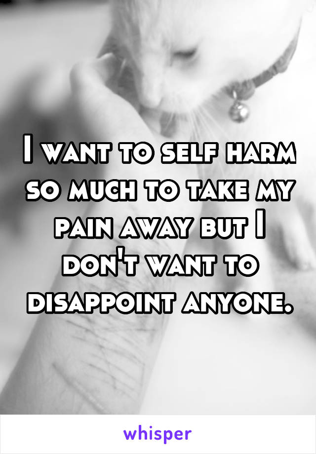 I want to self harm so much to take my pain away but I don't want to disappoint anyone.