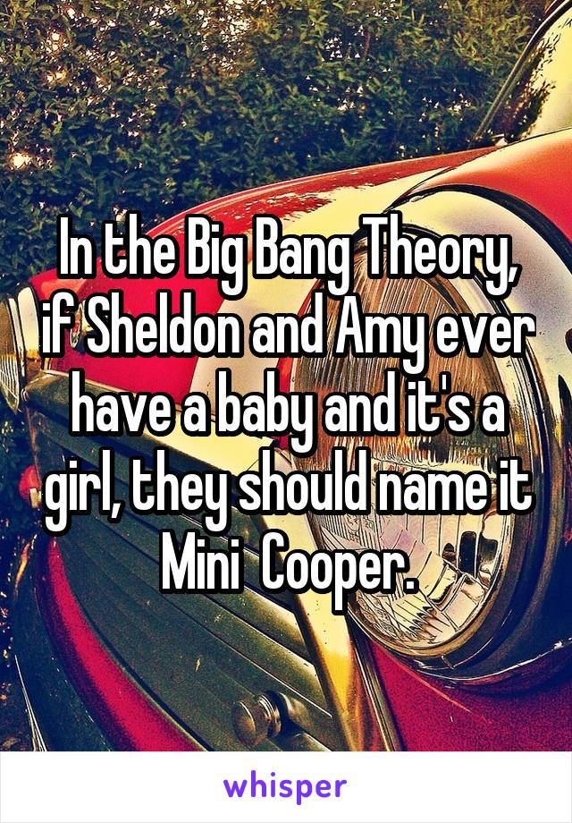 In the Big Bang Theory, if Sheldon and Amy ever have a baby and it's a girl, they should name it Mini  Cooper.