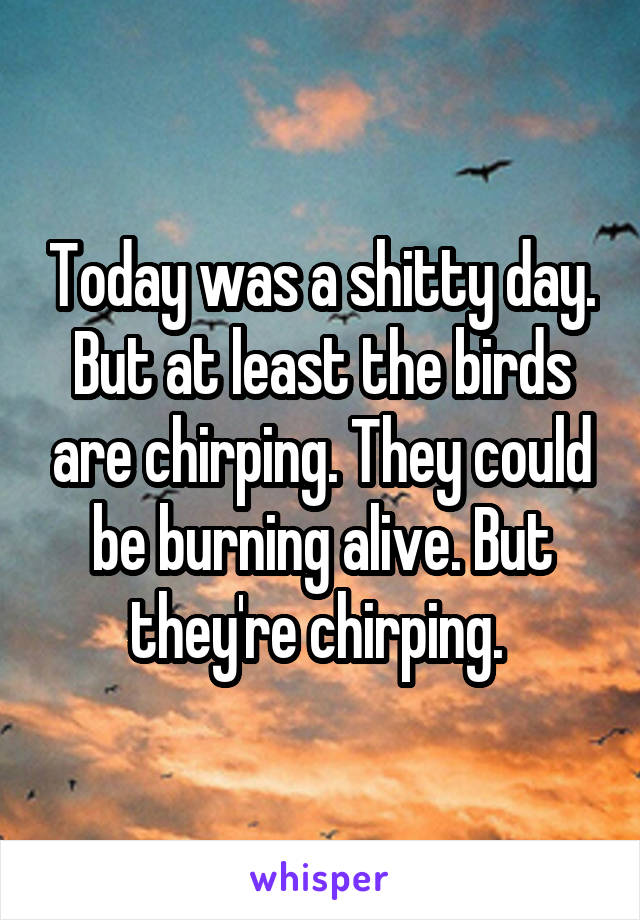 Today was a shitty day. But at least the birds are chirping. They could be burning alive. But they're chirping. 