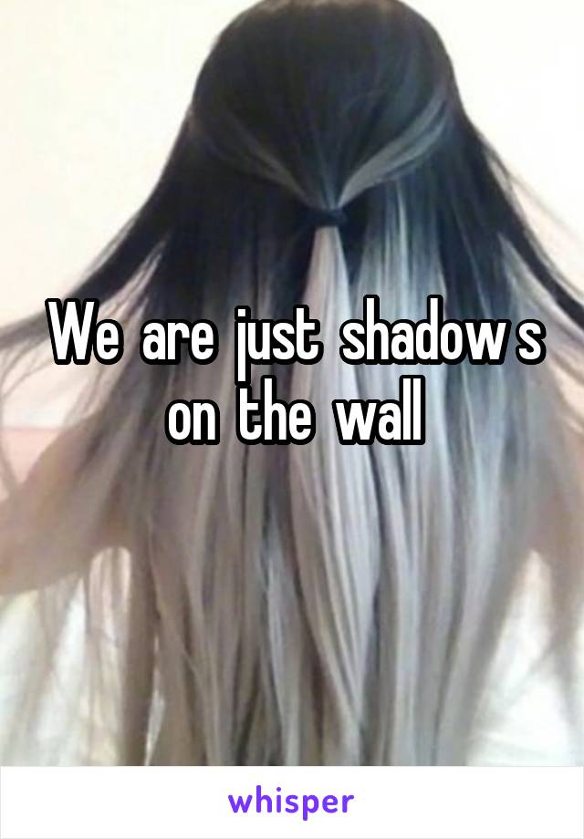 We  are  just  shadow s on  the  wall

