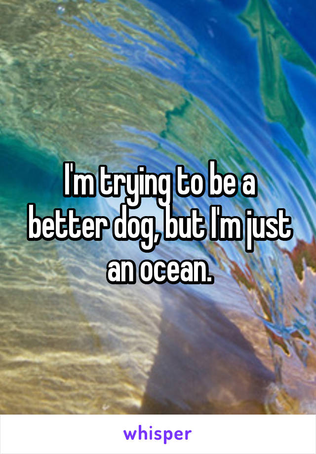 I'm trying to be a better dog, but I'm just an ocean.