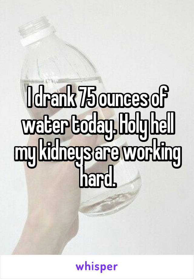 I drank 75 ounces of water today. Holy hell my kidneys are working hard.