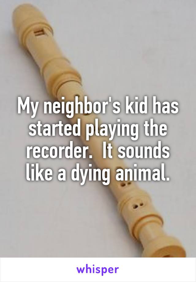 My neighbor's kid has started playing the recorder.  It sounds like a dying animal.