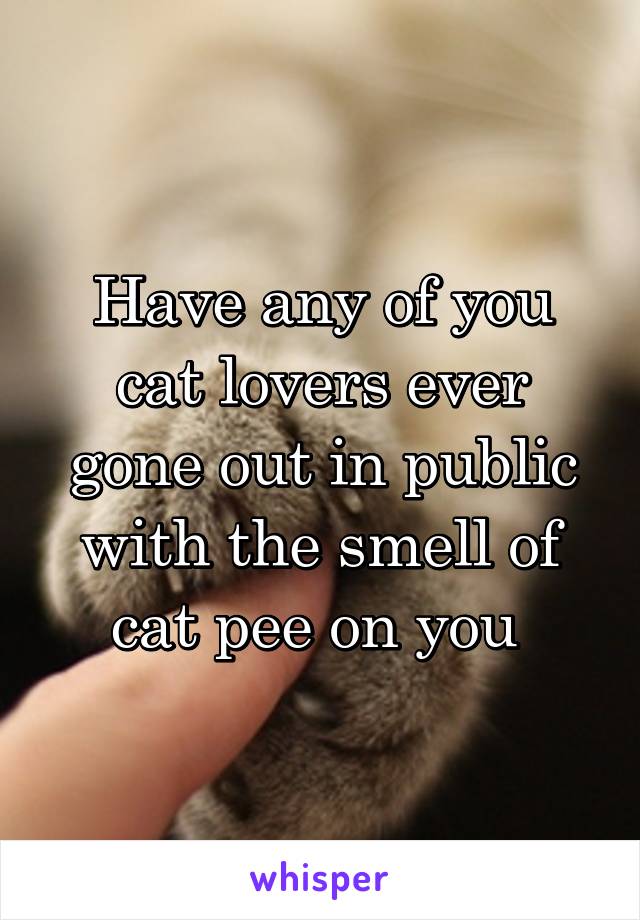Have any of you cat lovers ever gone out in public with the smell of cat pee on you 