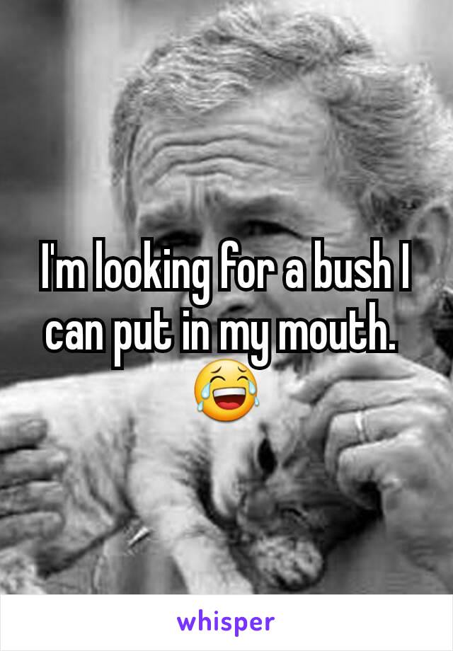 I'm looking for a bush I can put in my mouth. 
😂