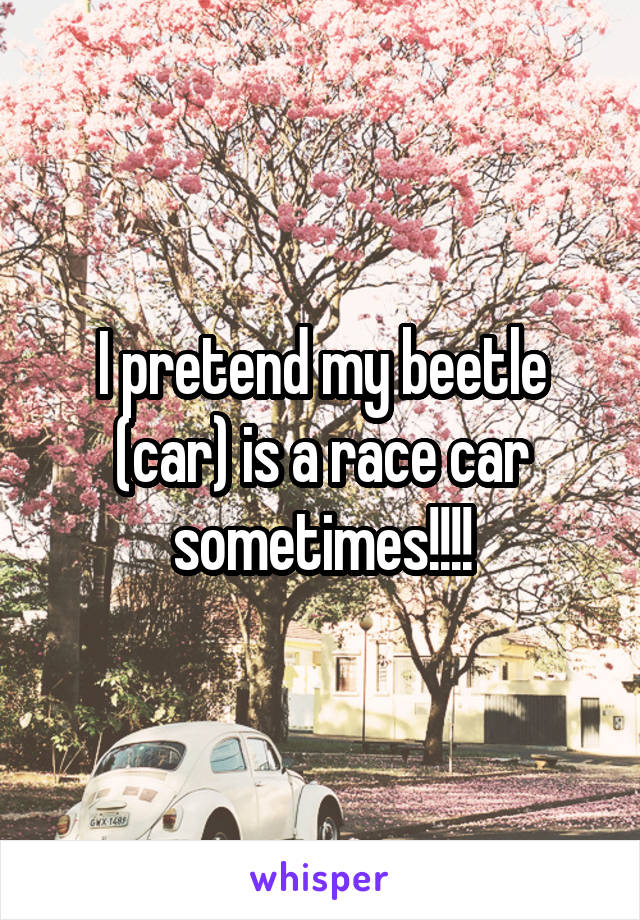 I pretend my beetle (car) is a race car sometimes!!!!