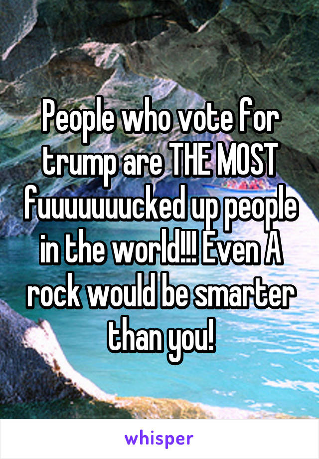 People who vote for trump are THE MOST fuuuuuuucked up people in the world!!! Even A rock would be smarter than you!