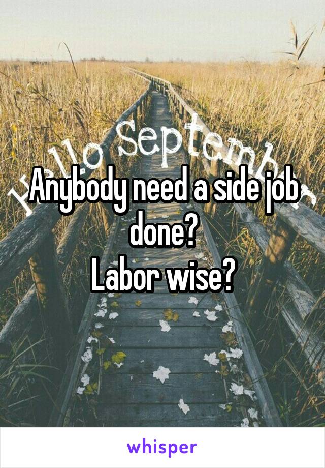 Anybody need a side job done?
Labor wise?