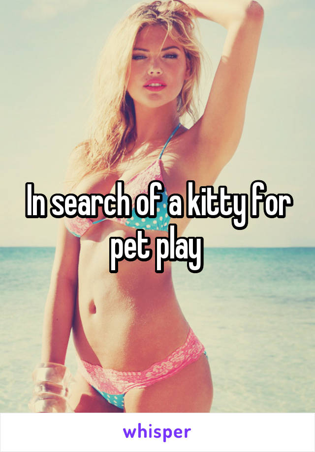 In search of a kitty for pet play 