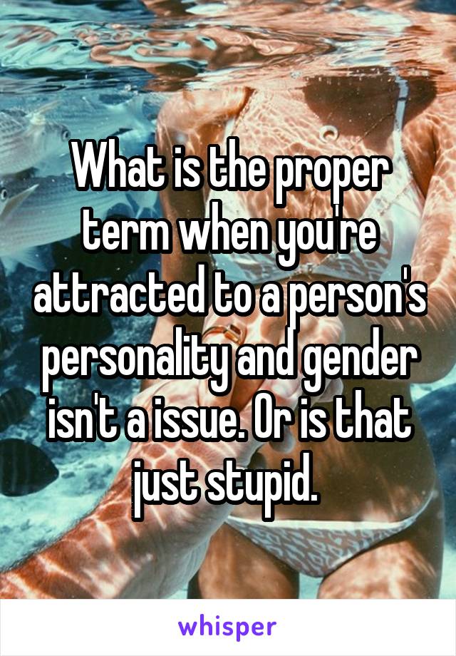 What is the proper term when you're attracted to a person's personality and gender isn't a issue. Or is that just stupid. 