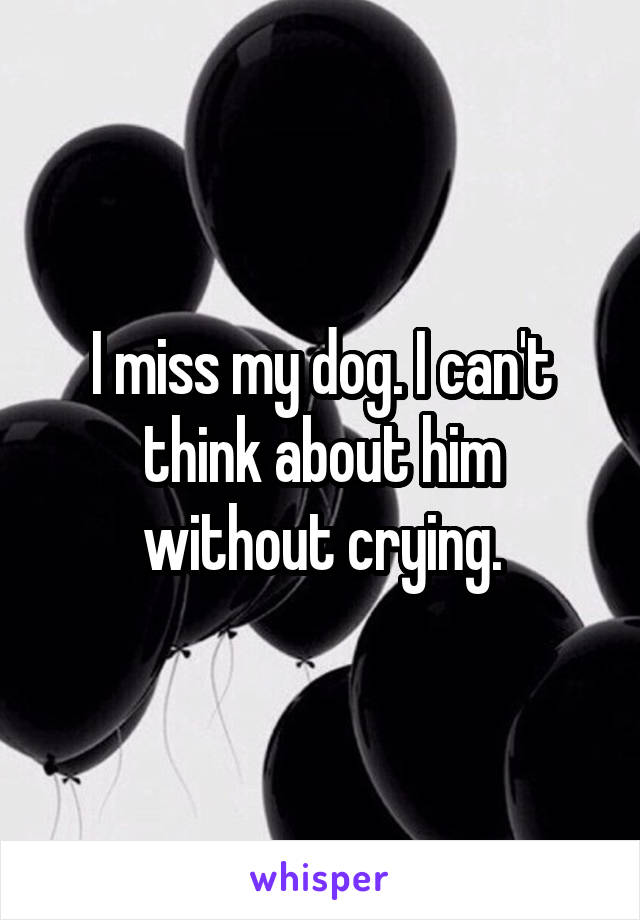 I miss my dog. I can't think about him without crying.