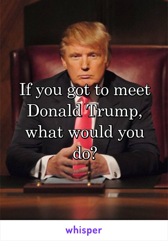 If you got to meet Donald Trump, what would you do?