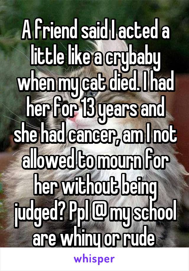 A friend said I acted a little like a crybaby when my cat died. I had her for 13 years and she had cancer, am I not allowed to mourn for her without being judged? Ppl @ my school are whiny or rude 