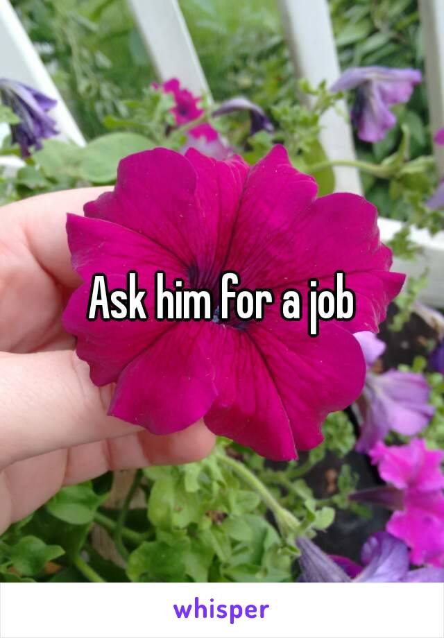 Ask him for a job